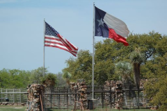 US and Texas Flags